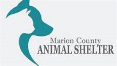 Marion County animal shelter director charged with disorderly conduct