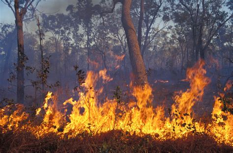 Opinion | Want to Stop Australia’s Fires? Listen to Aboriginal People ...