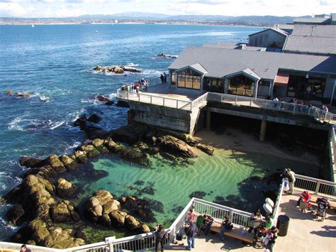 Monterey Bay Aquarium. Largest under water national park in the world ...