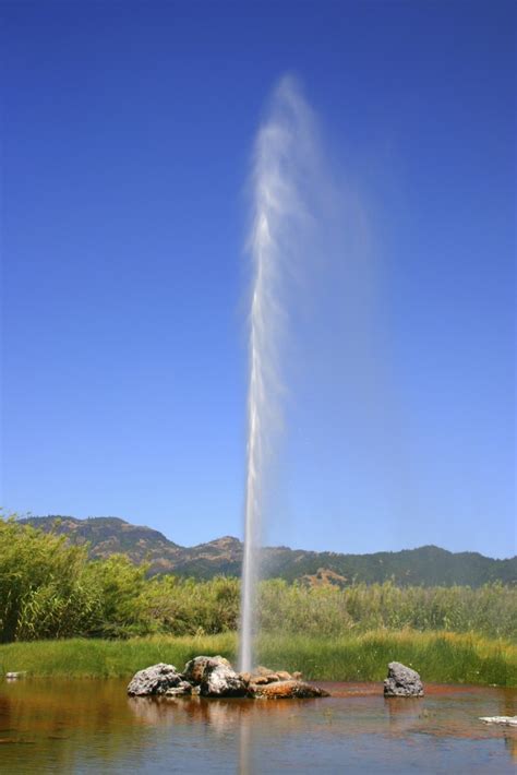 Check Out the Old Faithful Geyser of California