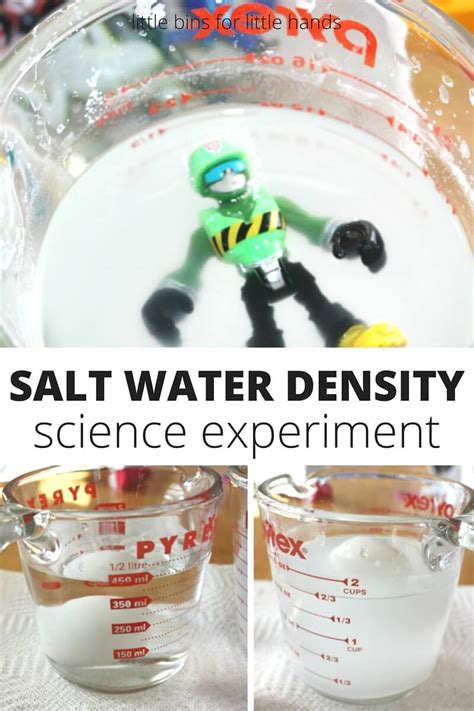 Density Science Experiment