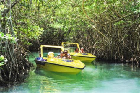 Enjoy the Best Jungle Tour in Cancun with Aquaworld - Aquaworld