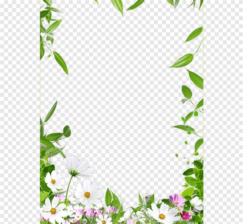 Floral Border Design : Picture Frame Floral Design Flower Floral ...