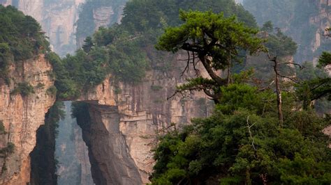 Zhangjiajie National Forest Park, Hunan Province, China | Zhangjiajie ...