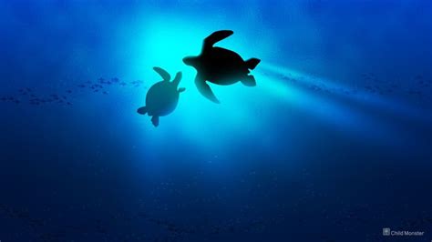 Turtle Collection See All #Wallpapers : #wallpapers #background # ...