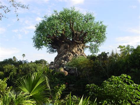 Animal Kingdom Tree of Life Desktop Wallpaper