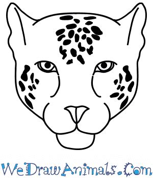 Easy Jaguar Head Drawing