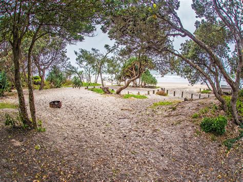 Ocean Beach camping area | Bribie Island National Park and Recreation ...