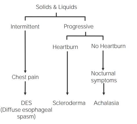 Dysphagia | Concise Medical Knowledge