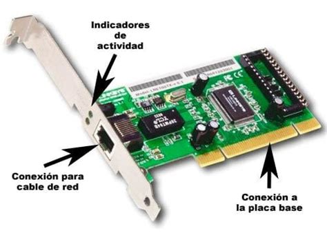 Tarjeta de red ethernet – Curiosoando