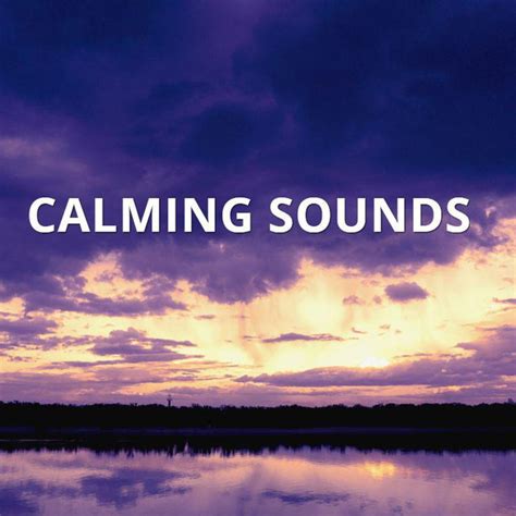 Calming Sounds | Spotify