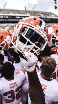 Clemson Tigers Football Helmet - 2500x4444 Wallpaper - teahub.io