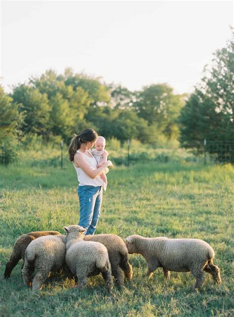 Babydoll Sheep Size & Personality | Everly & Raine Co.