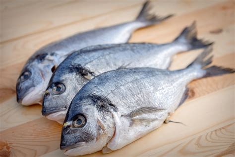 Mercury Poisoning From Fish: Is It Really Possible? | Verified.org