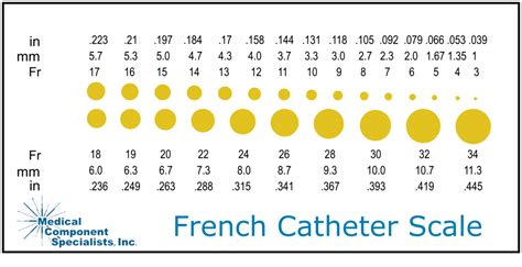 French Catheter Size Chart