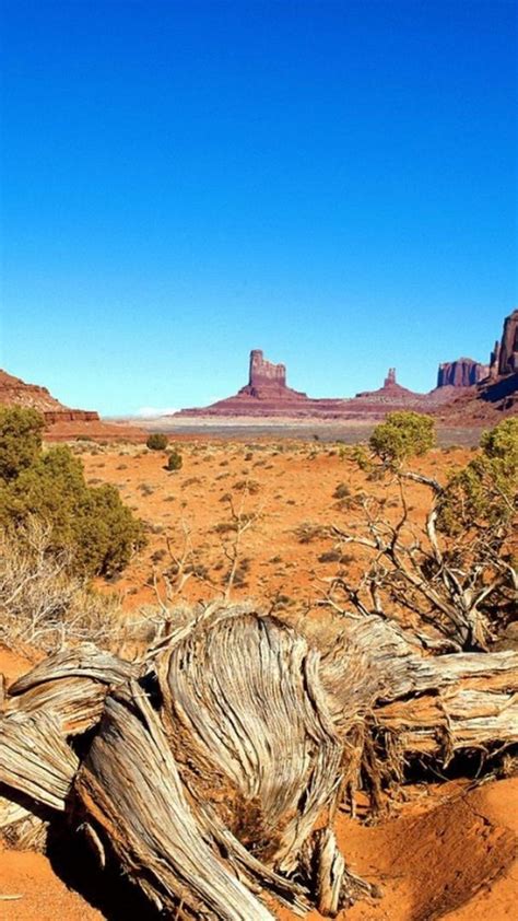 Arizona Phone Wallpapers - Top Free Arizona Phone Backgrounds ...