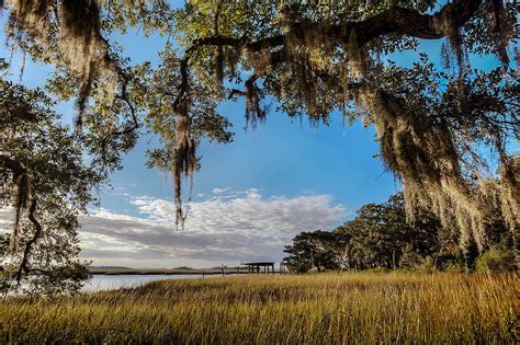 Timucuan Preserve::Will Dickey Florida Nature Photography - Images of ...