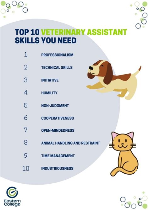 Veterinarian Assistant Job Description And Salary