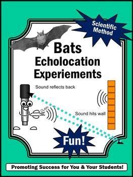 Echolocation for Bats Science Experiments Distance Learning Packet ...