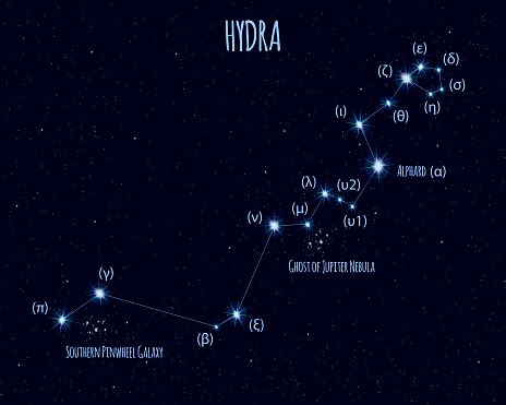 Hydra Constellation Vector Illustration With The Names Of Basic Stars ...