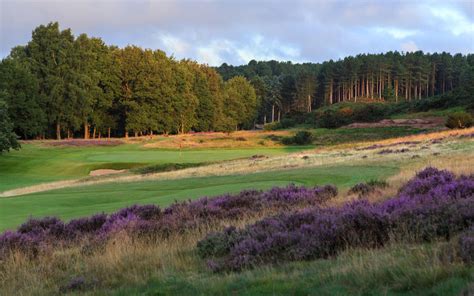 Notts. Golf Club (Hollinwell) on Twitter: "‘It is one of the finest ...