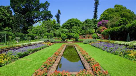 Durban Botanic Gardens - All You Need to Know BEFORE You Go (2024)