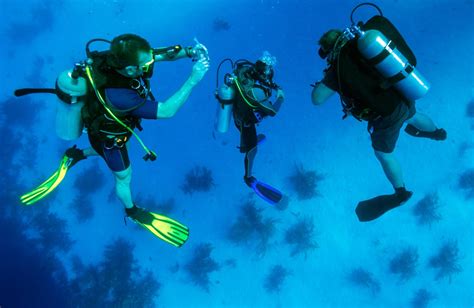 Scuba Diving Equipment List: Essential Items for Your Next Dive - AquaViews