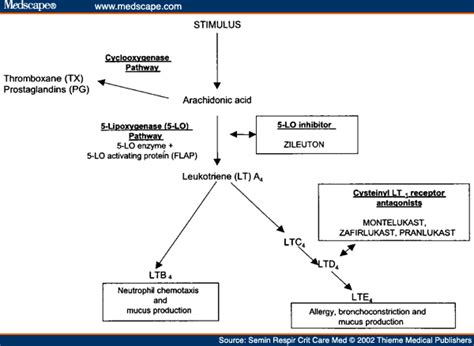 Figure 1. Leukotriene
