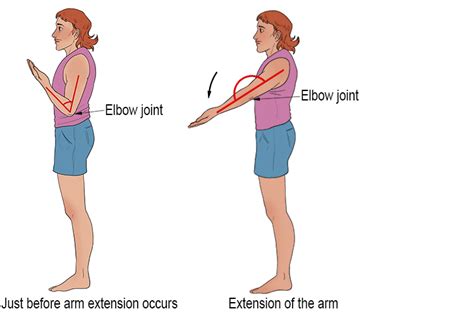 Elbow Extension - Mammoth Memory definition - remember meaning