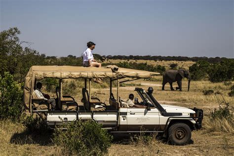 5 Days Serengeti Safari | Serengeti National Park | Tanzania Safaris Tours