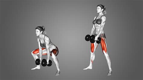 Dumbbell Sumo Deadlift: Benefits, Muscles Worked, and More - Inspire US