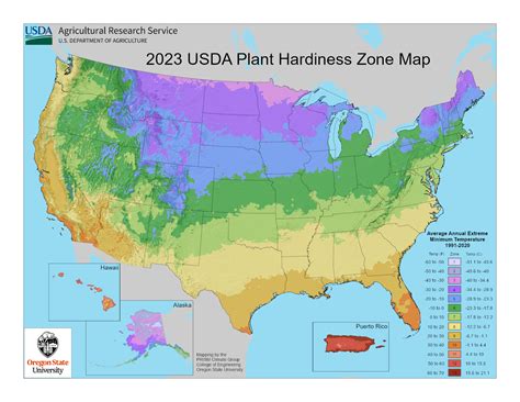 USDA Plant Hardiness Zone Map | Planting Zones Map USA - Garden.org