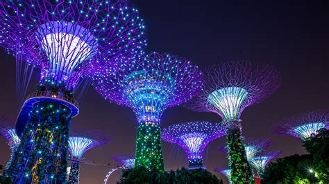 Photo Singapore Gardens by the Bay Nature night time Fairy 1920x1080