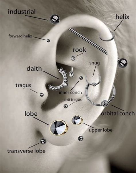 Your Guide To Cartilage Ear Piercings: 10 Types To Know – Zensa Skin Care