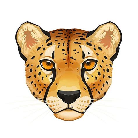 Cheetah Face Photographic Print by Paula Lucas | Cheetah drawing ...