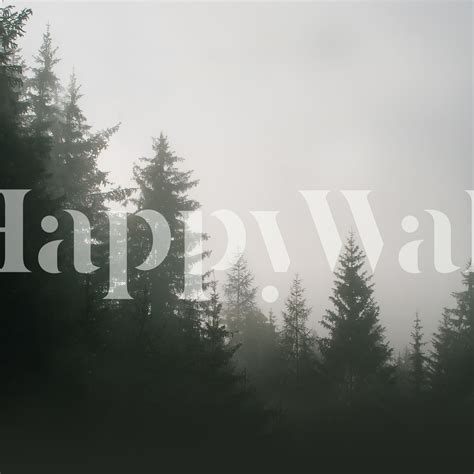 Dark Foggy Forest Wallpaper - Stunning Nature Wall Art | Happywall