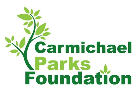 Carmichael Non Profits – Carmichael Business Review