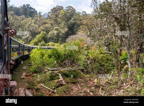 Nuwara Eliya tea fields of Sri Lanka Stock Photo - Alamy