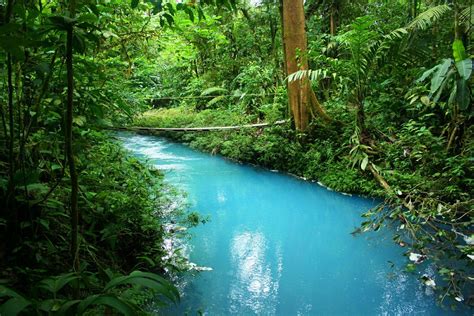 Pin de marcelo Carballo en Aire libre | Río, Costa rica, Parques nacionales