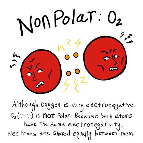 Example Of A Nonpolar Covalent Bond