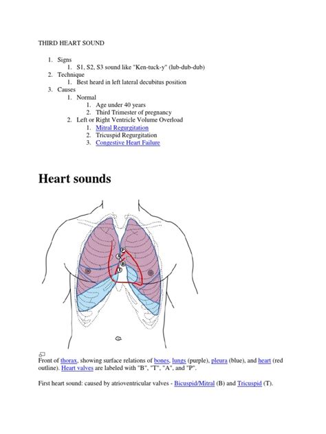 Third Heart Sound | Heart Valve | Heart