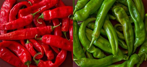 Red or Green? New Mexico Chile Information from MJ's Kitchen