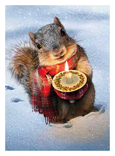 Squirrel Christmas Cards | Kritters in the Mailbox | Squirrel Christmas ...