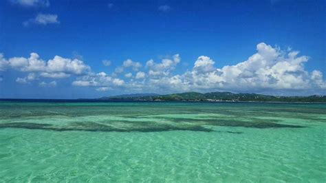 Blessing in disguise for Buccoo Reef Marine Park - Trinidad and Tobago ...