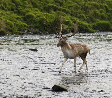 river walk | Not sure if this is the done thing for a stag b… | Flickr