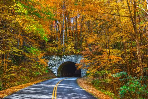 The best time to visit Asheville, North Carolina - Lonely Planet