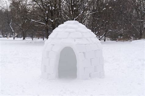 How to Build an Igloo In 6 Easy Steps and Everything You'll Need