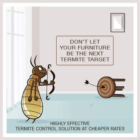 Termite Control in Bhubaneswar | Anti-Termite Treatment Bhubaneswar