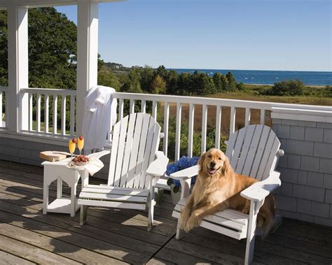 11 Great Pet Friendly Hotels