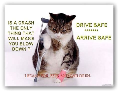 Road Safety Week: 10 Very Inspirational Posters | Road safety ...